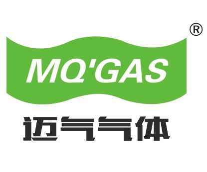 邁氣.jpg